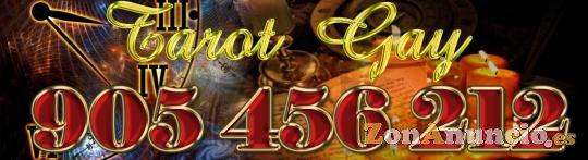 tarot  gay  economico